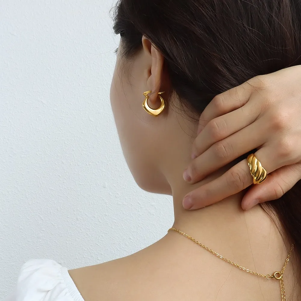 Boxed 2 Pairs of Sylvia Earrings Set