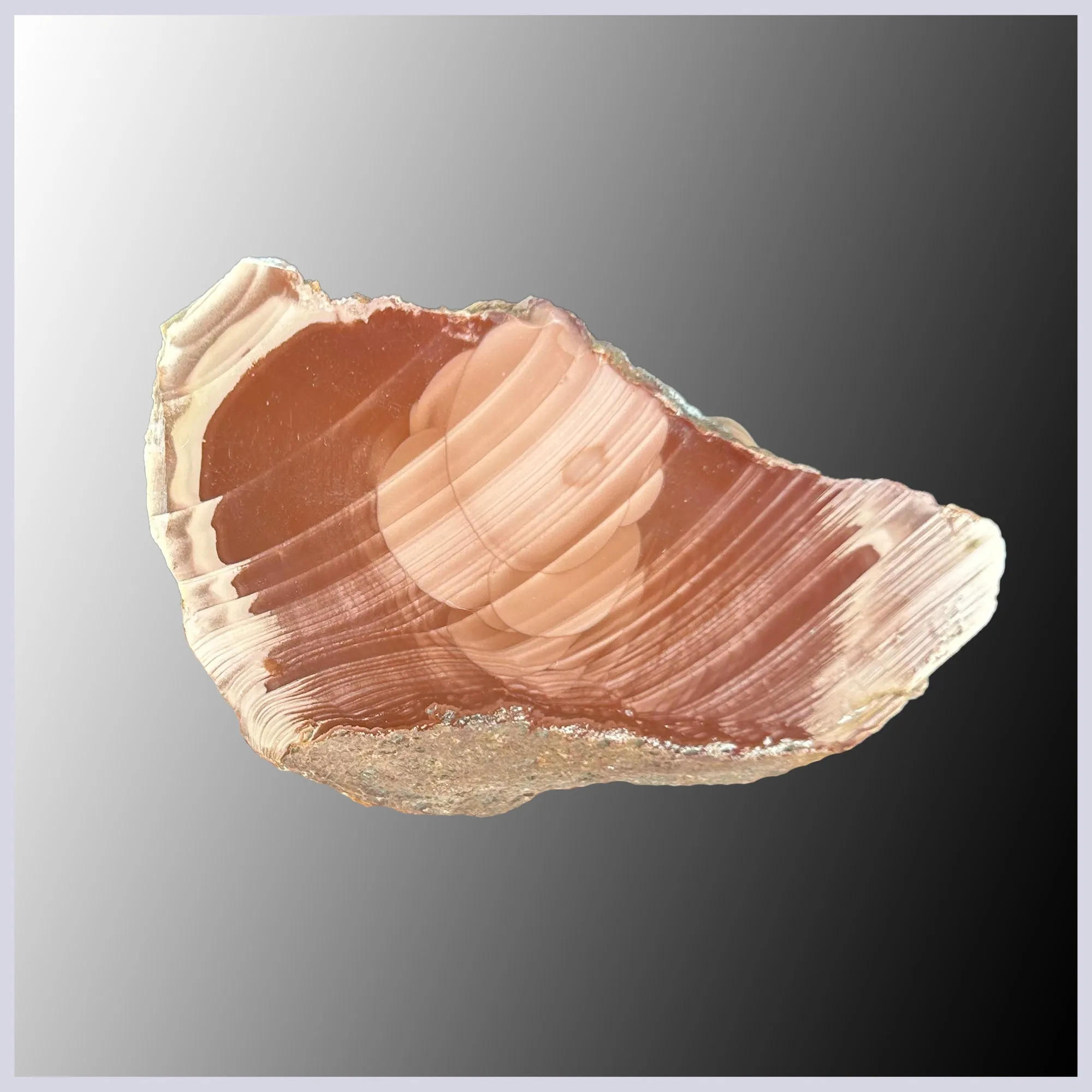 IMP518 Royal Imperial Jasper Specimen
