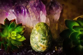 Jasper Tree Crystal Egg