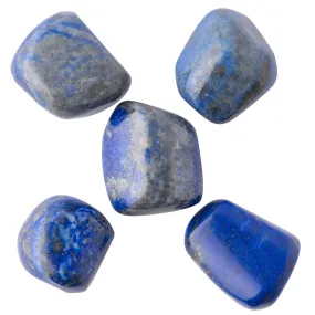 Lapis Lazuli Tumblestone Medium 2-3cm